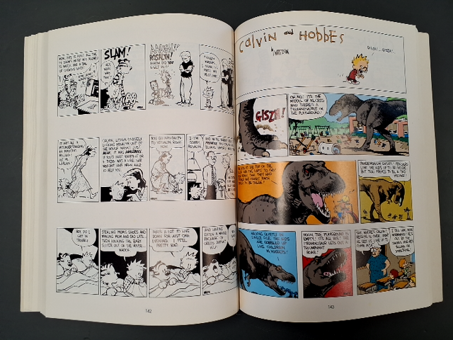 The Indispensable Calvin and Hobbes